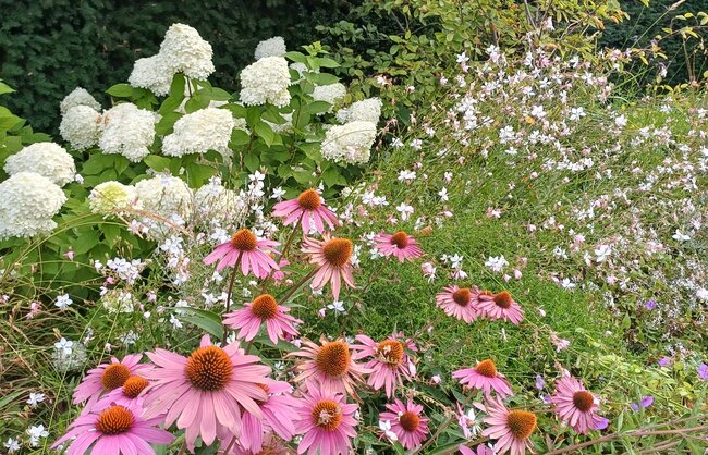 jardin_vivace_portfolio_13