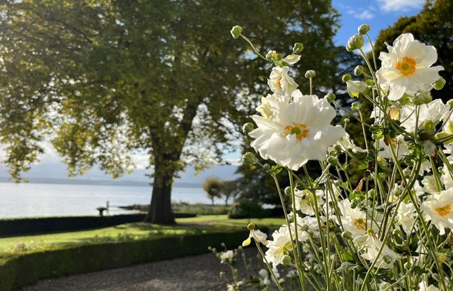 jardin_vivace_portfolio_14