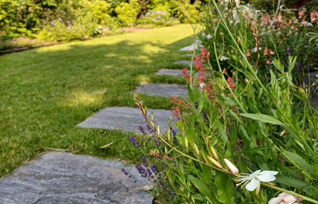 jardin_vivace_portfolio_15