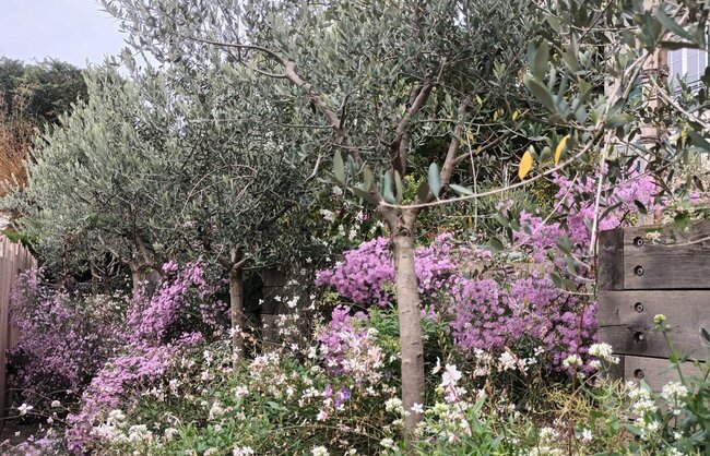 jardin_vivace_portfolio_17