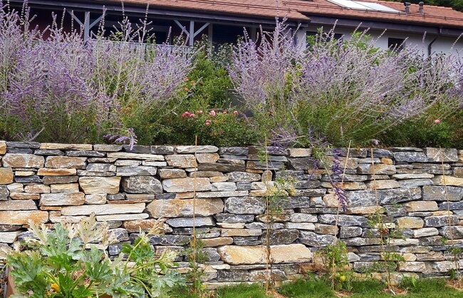 jardin_vivace_portfolio_2