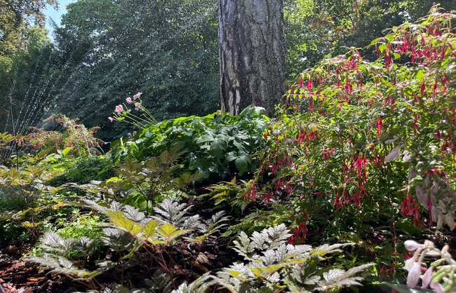 jardin_vivace_portfolio_22