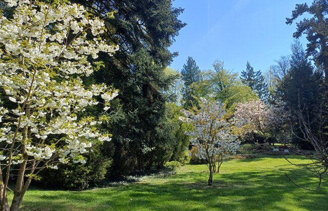 jardin_vivace_portfolio_4